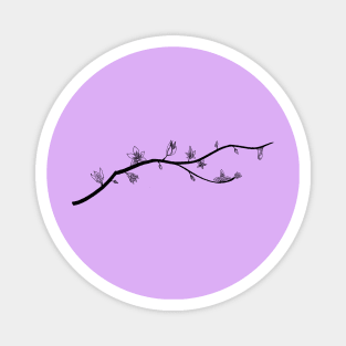 Cherry Blossoms Magnet